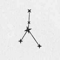 Zodiac Book Stamp Seal